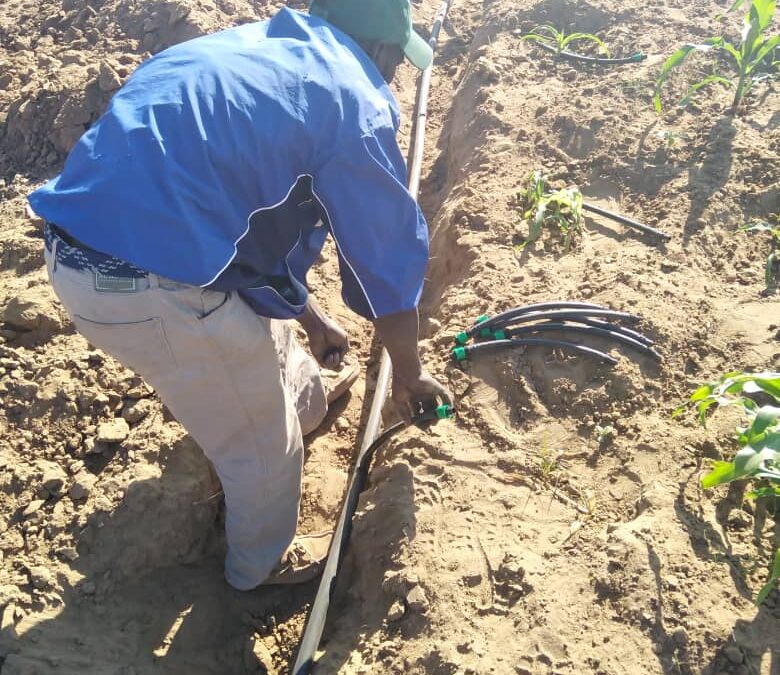 Manoti Garden Scheme Installs the Drip Irrigation System