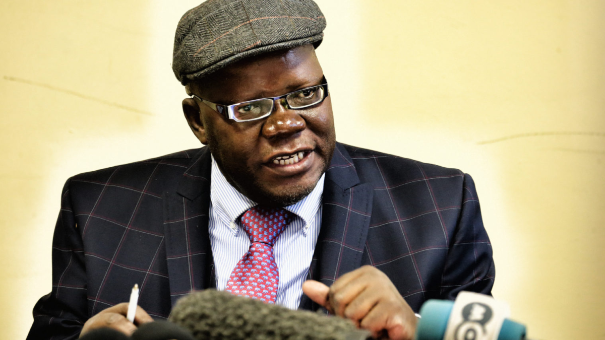 They Do Not Have The Right To Recall Us- Biti